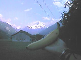 The Swiss Alps