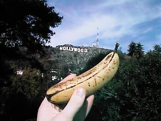 Hollywood, California