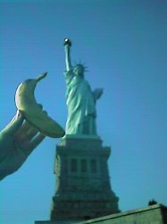 Statue of Liberty - New York City