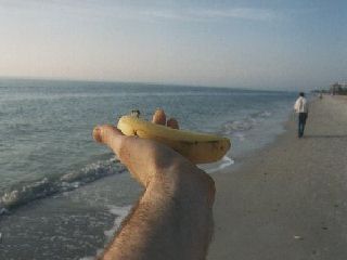 Naples, Florida