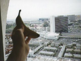 24th Floor of Circus Circus - Las Vegas, Nevada